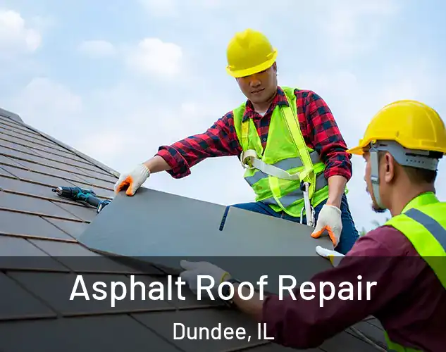  Asphalt Roof Repair Dundee, IL