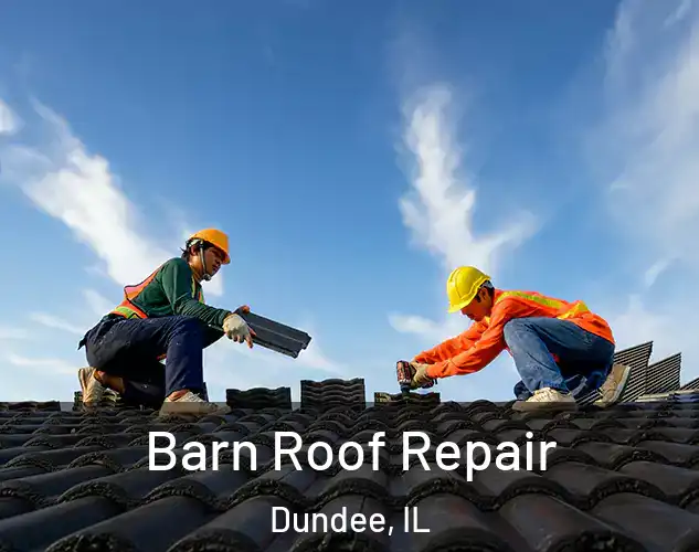 Barn Roof Repair Dundee, IL
