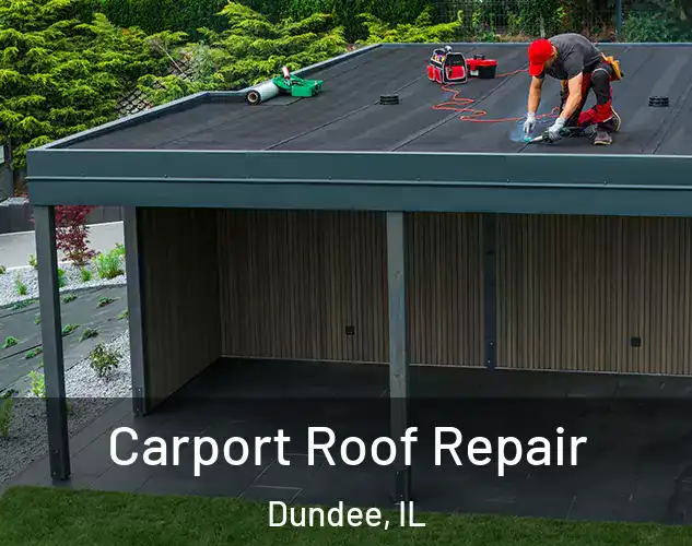  Carport Roof Repair Dundee, IL