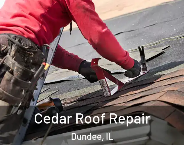  Cedar Roof Repair Dundee, IL