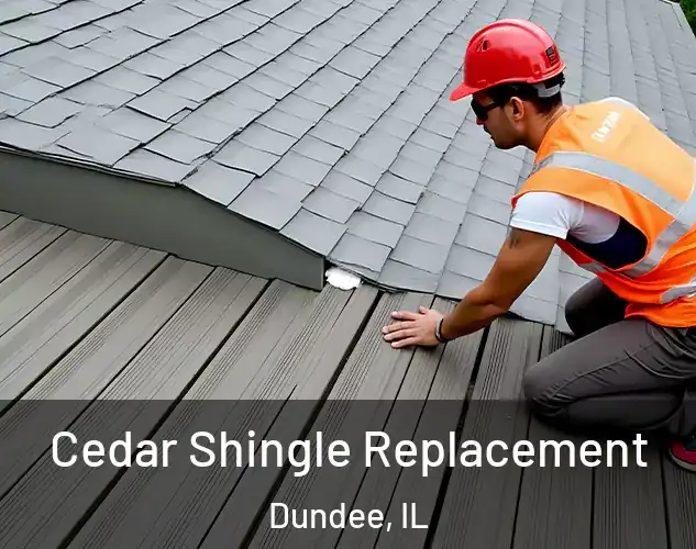  Cedar Shingle Replacement Dundee, IL