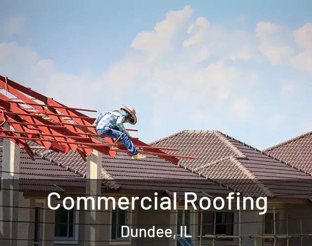  Commercial Roofing Dundee, IL