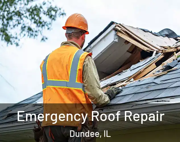  Emergency Roof Repair Dundee, IL