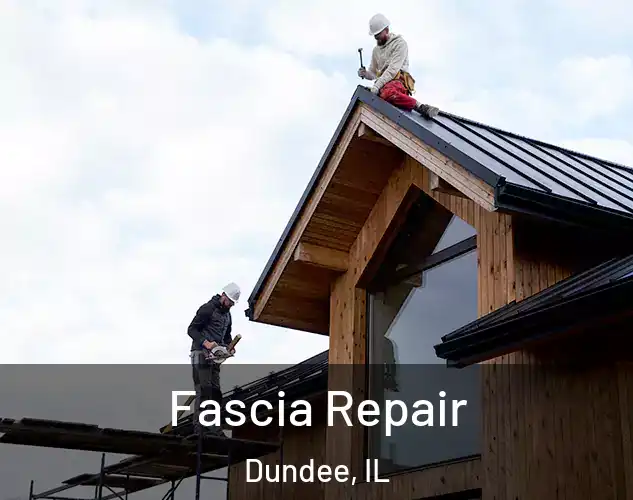  Fascia Repair Dundee, IL