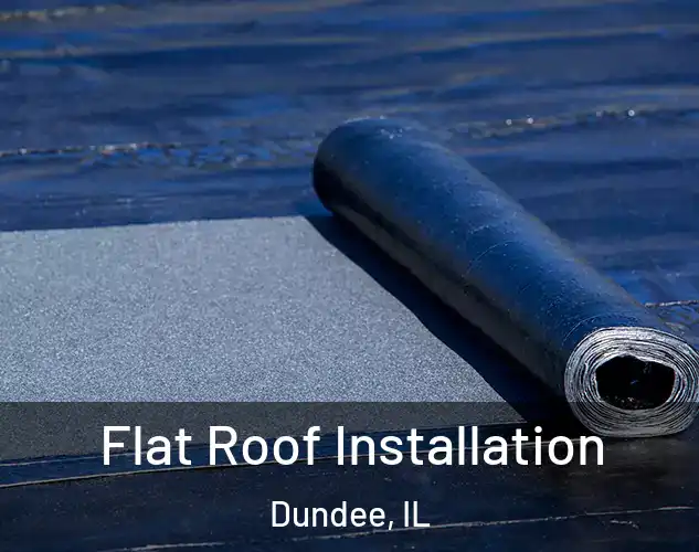 Flat Roof Installation Dundee, IL