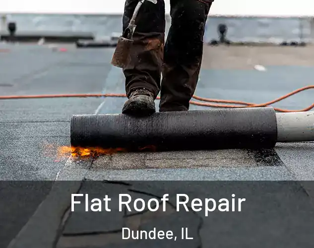  Flat Roof Repair Dundee, IL