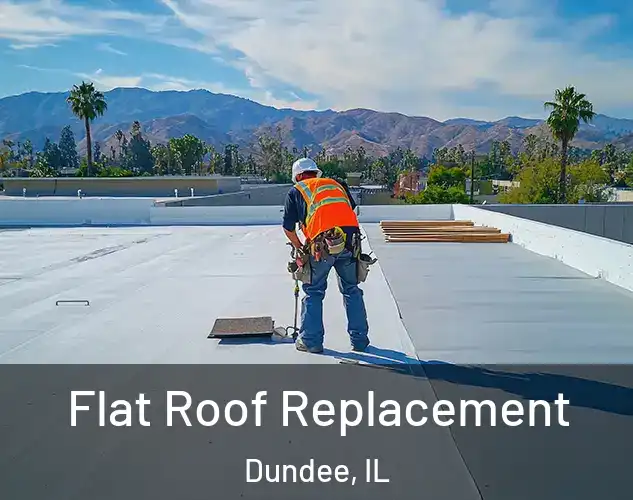  Flat Roof Replacement Dundee, IL