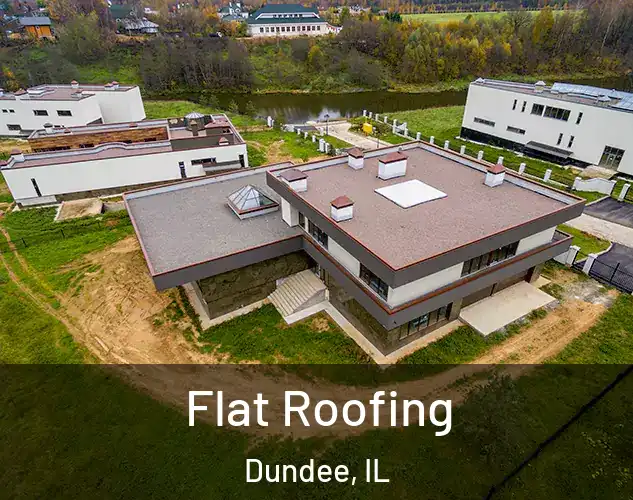  Flat Roofing Dundee, IL