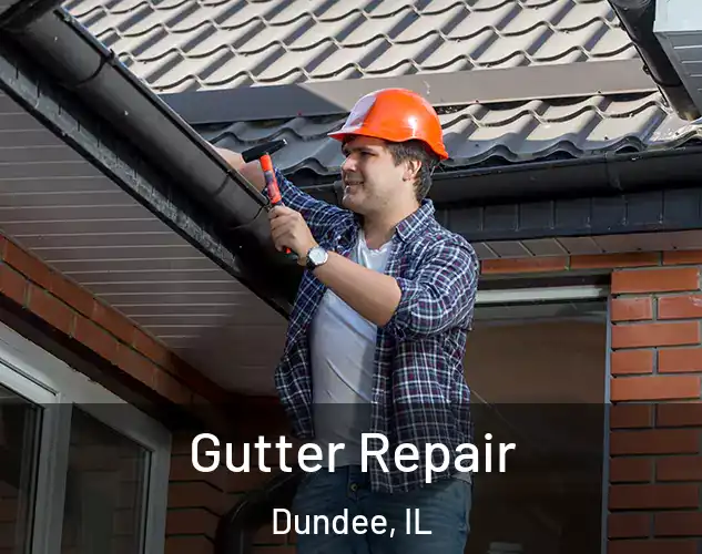  Gutter Repair Dundee, IL