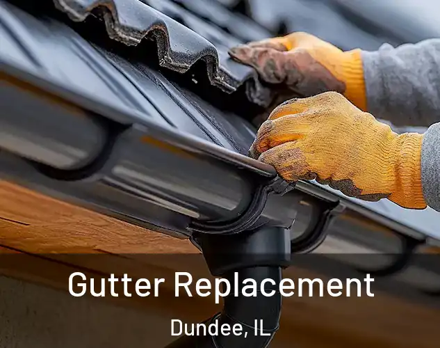  Gutter Replacement Dundee, IL
