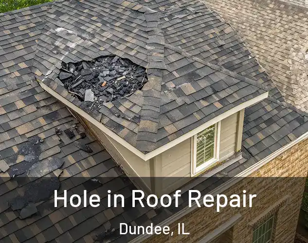  Hole in Roof Repair Dundee, IL