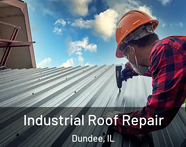  Industrial Roof Repair Dundee, IL