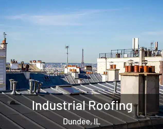  Industrial Roofing Dundee, IL