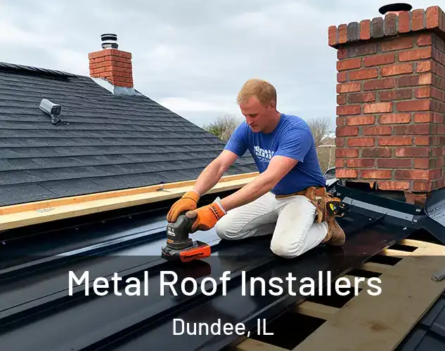  Metal Roof Installers Dundee, IL