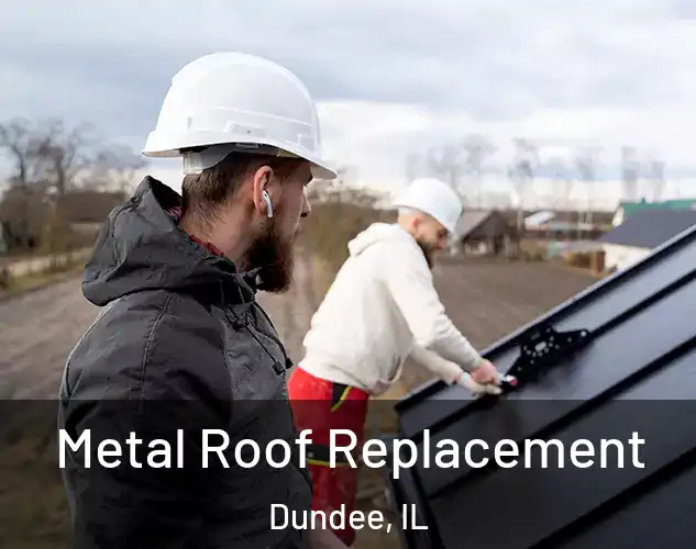  Metal Roof Replacement Dundee, IL