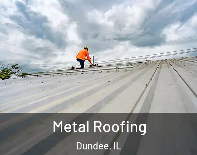  Metal Roofing Dundee, IL