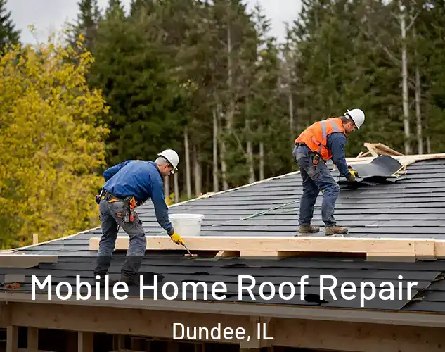  Mobile Home Roof Repair Dundee, IL