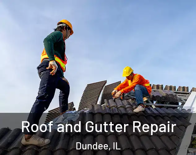  Roof and Gutter Repair Dundee, IL