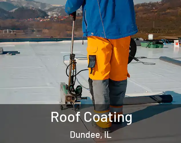  Roof Coating Dundee, IL