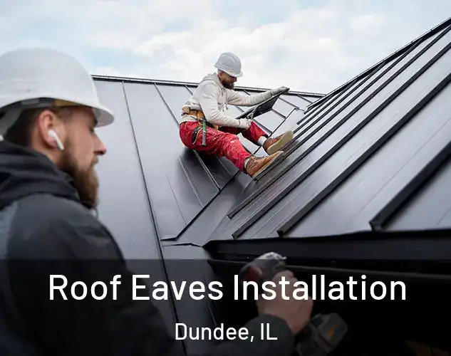  Roof Eaves Installation Dundee, IL