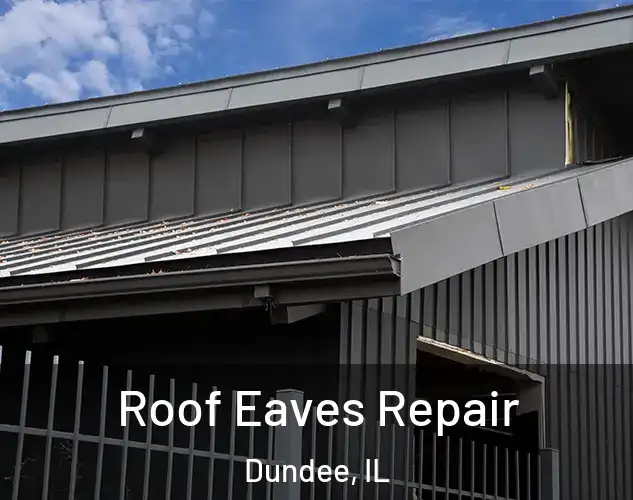  Roof Eaves Repair Dundee, IL