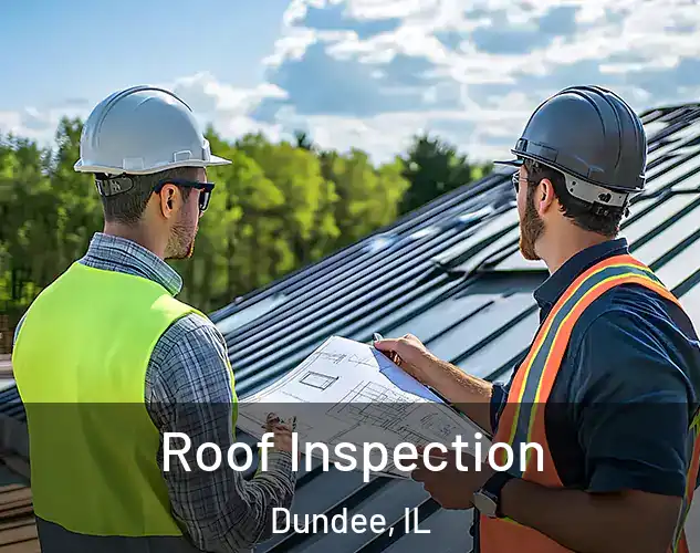  Roof Inspection Dundee, IL