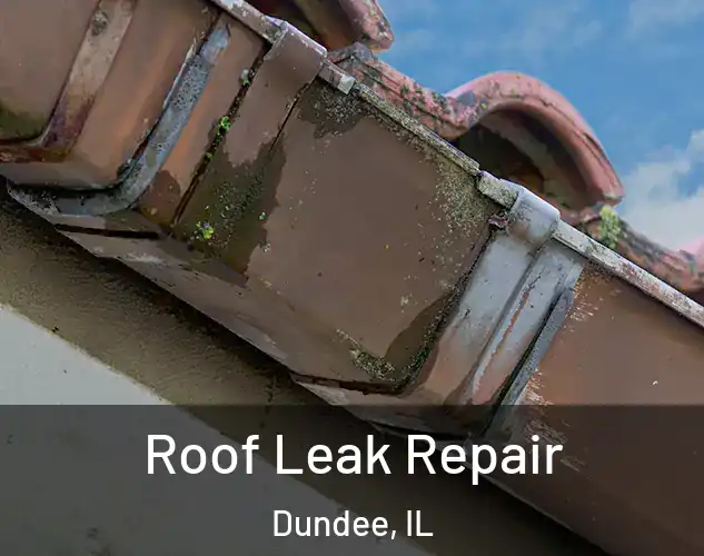  Roof Leak Repair Dundee, IL