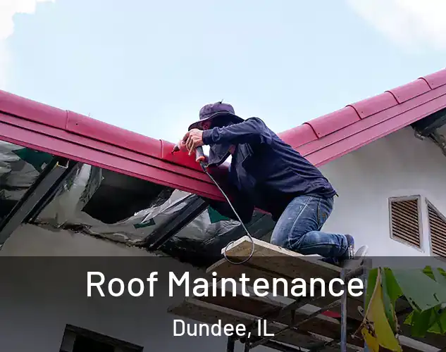  Roof Maintenance Dundee, IL