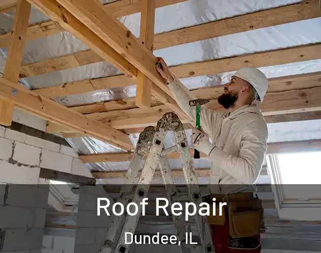  Roof Repair Dundee, IL
