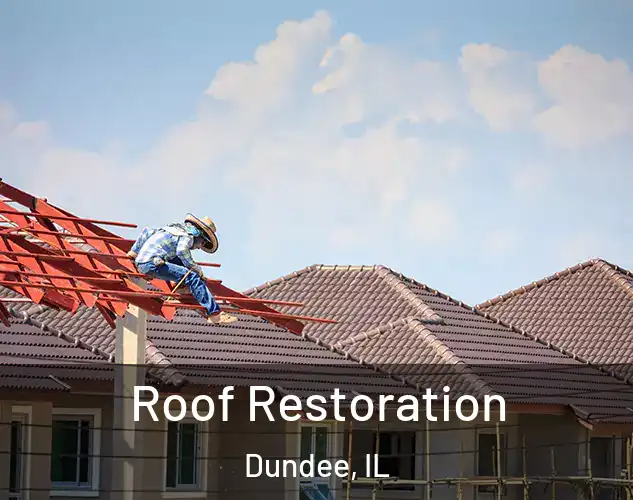  Roof Restoration Dundee, IL