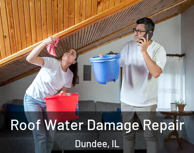  Roof Water Damage Repair Dundee, IL