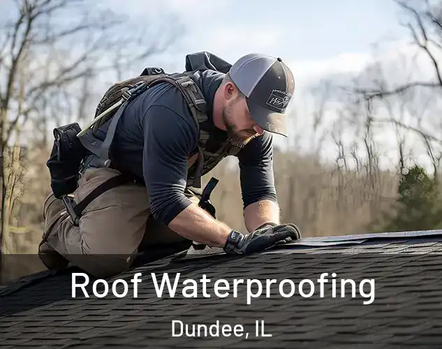  Roof Waterproofing Dundee, IL