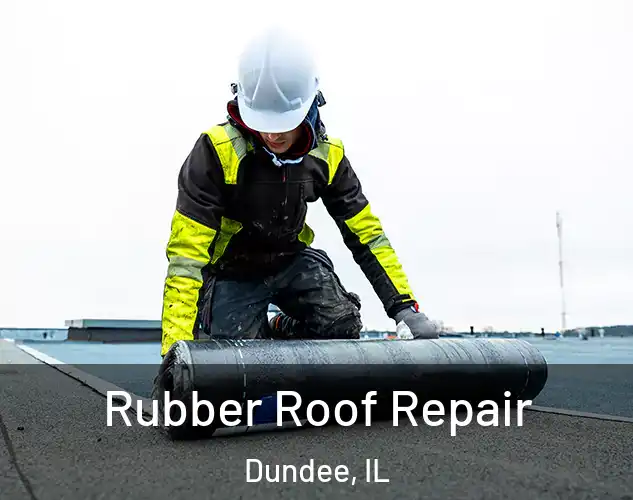  Rubber Roof Repair Dundee, IL