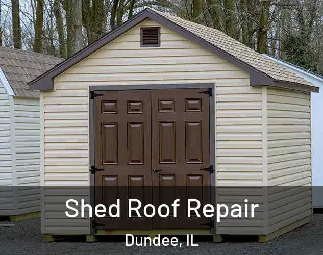  Shed Roof Repair Dundee, IL