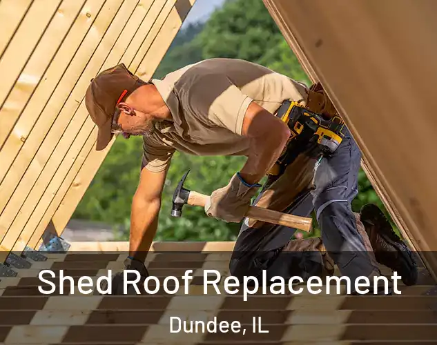  Shed Roof Replacement Dundee, IL