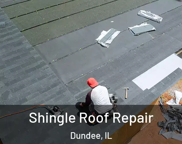  Shingle Roof Repair Dundee, IL
