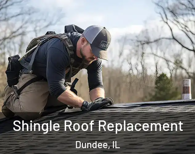  Shingle Roof Replacement Dundee, IL