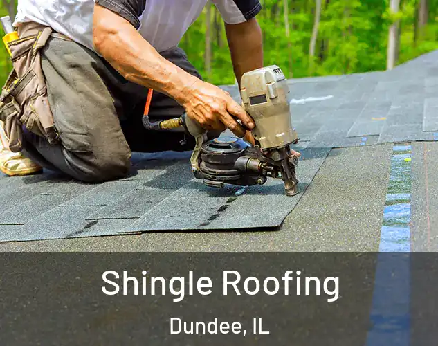  Shingle Roofing Dundee, IL