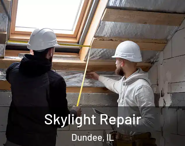  Skylight Repair Dundee, IL