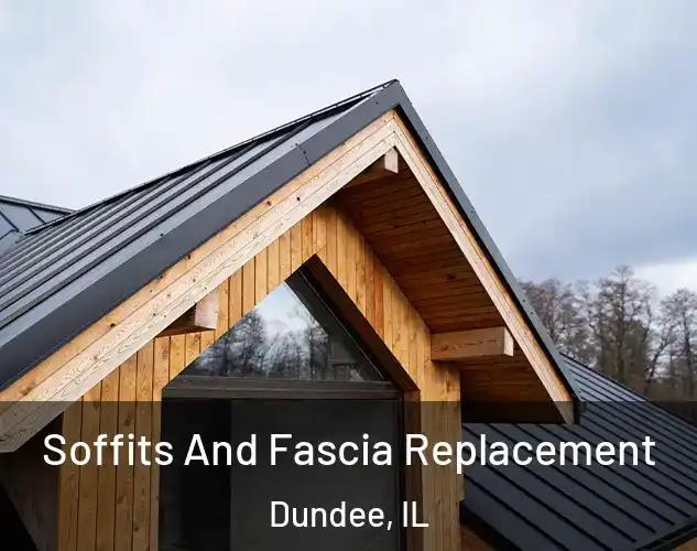  Soffits And Fascia Replacement Dundee, IL