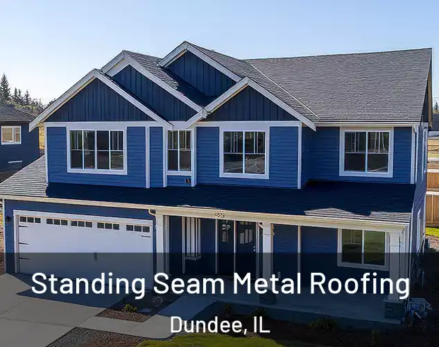 Standing Seam Metal Roofing Dundee, IL
