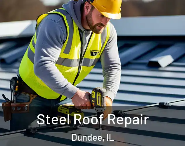 Steel Roof Repair Dundee, IL