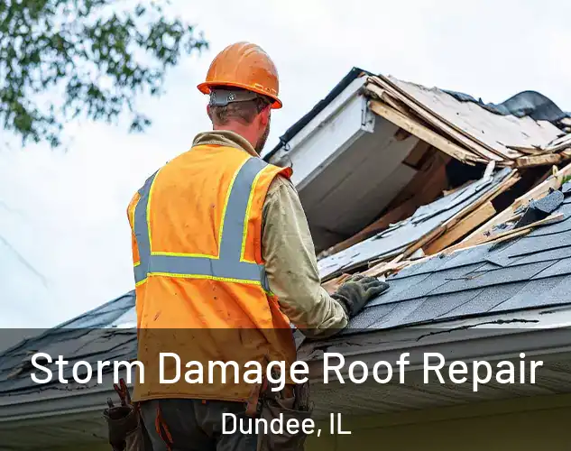  Storm Damage Roof Repair Dundee, IL