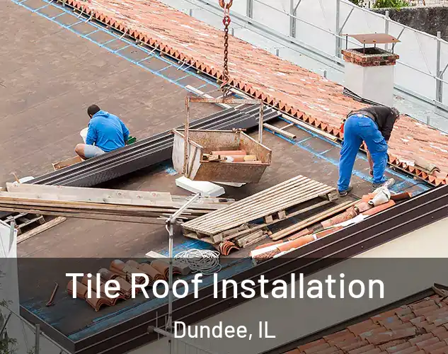  Tile Roof Installation Dundee, IL