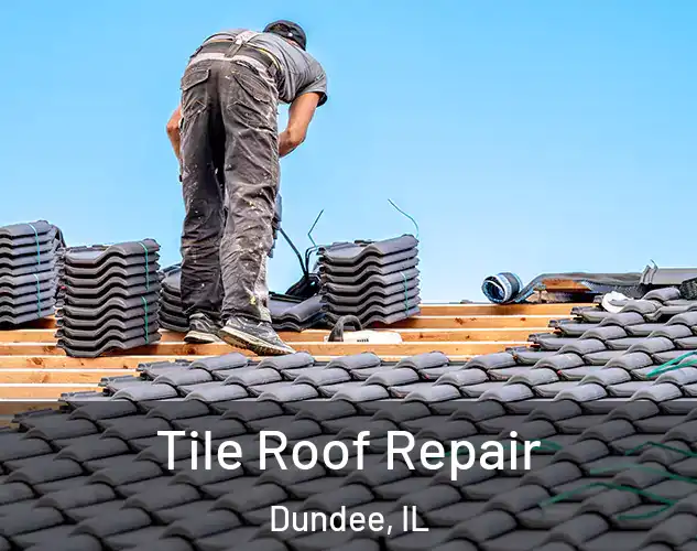  Tile Roof Repair Dundee, IL