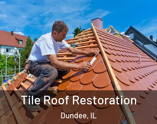  Tile Roof Restoration Dundee, IL