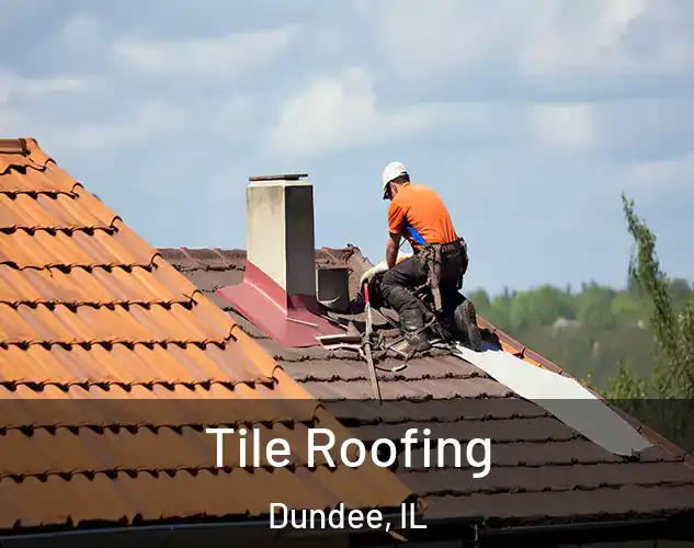  Tile Roofing Dundee, IL