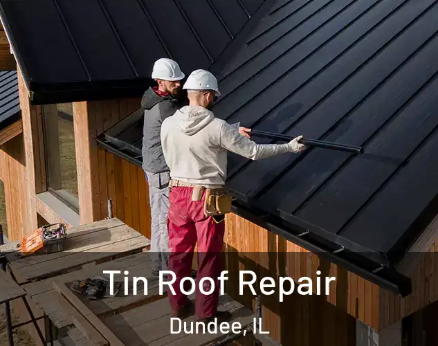 Tin Roof Repair Dundee, IL
